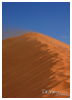 Coral Sand Dunes